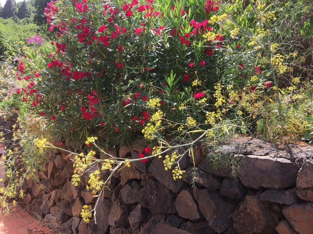Finca Madrugada Santa Cruz de la Palma  Dış mekan fotoğraf