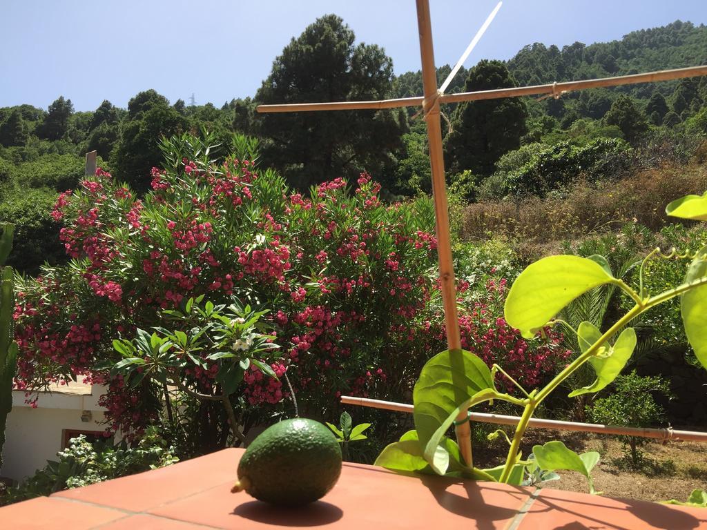 Finca Madrugada Santa Cruz de la Palma  Dış mekan fotoğraf